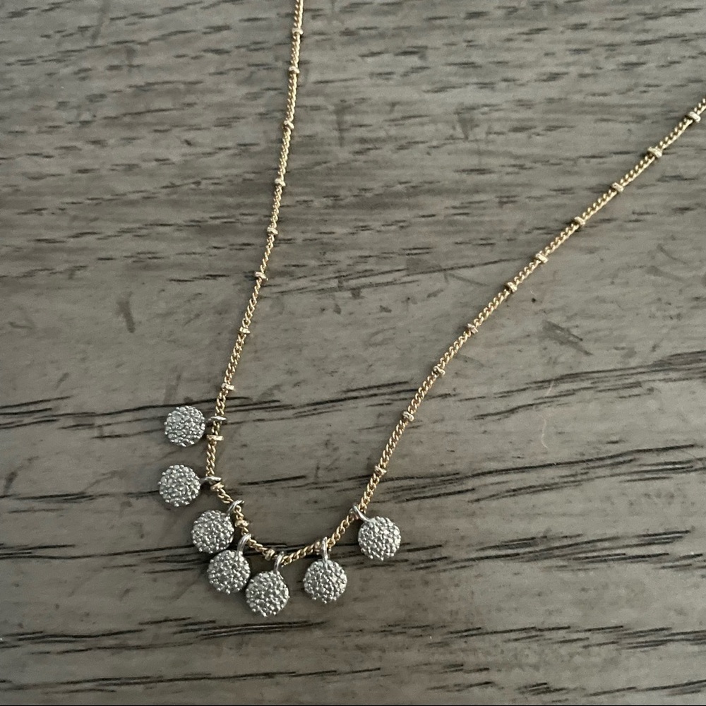 Francesca’s Gold & Silver Necklace